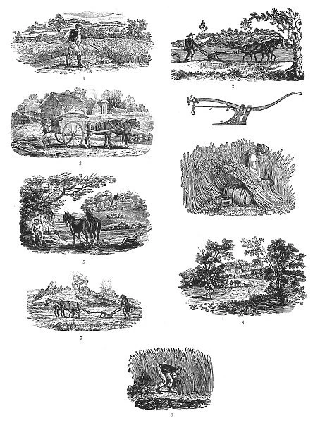 FARMING, 19th CENTURY. Wood engraving, early 19th century