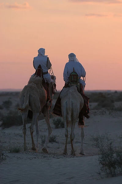 Bedouins on dromedaries into the sunset