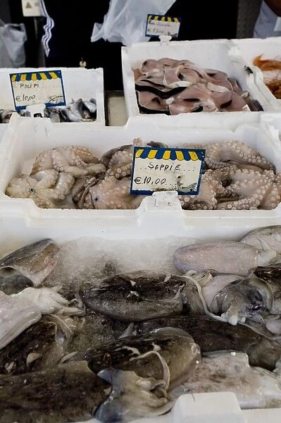 Italy, Calabria, Ciro Marina, fresh fish and octopus on display in market