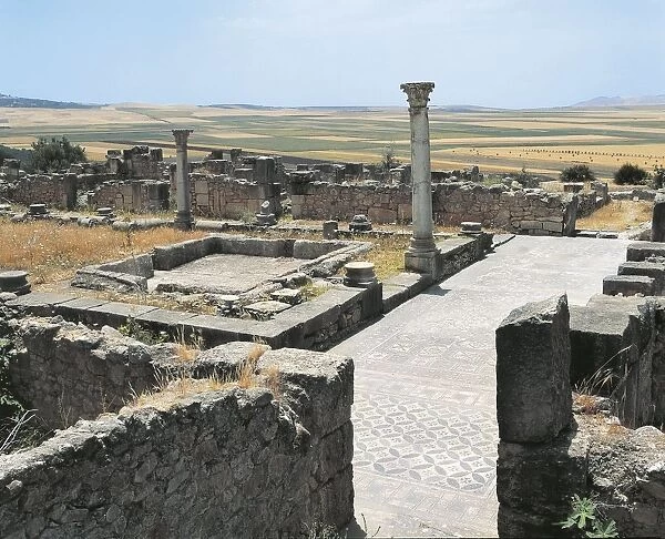 Morocco, Meknes-El Menzeh, Rainwater basin impluvium in House of Ephebus at Ancient city of Volubilis