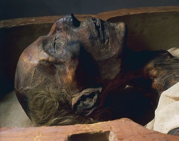 Mummy of Ramses II (about 1297-1213 b. C. ), face detail