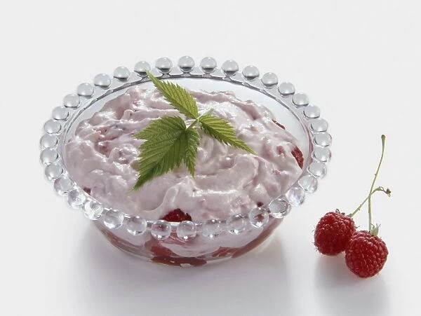 Raspberry trifle dessert garnished with raspberry leaves
