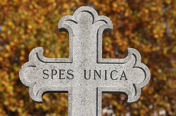 Spes Unica ( One hope )