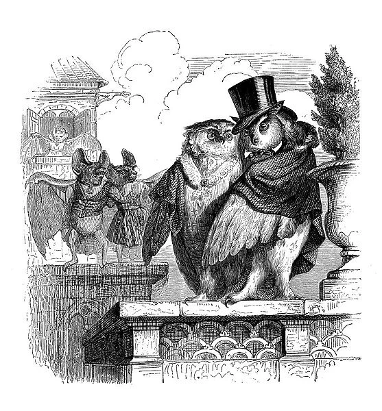 Humanized animals illustrations: Owls and bats