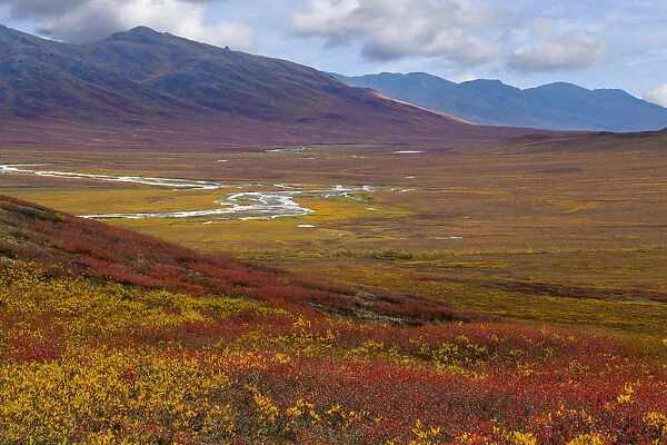 Landscape with Brooks Range, Alaska, USA