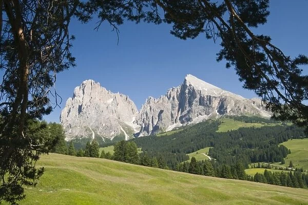 Plattkofel and Langkofel mountains, Seiser Alm, South Tyrol, Italy, Europe