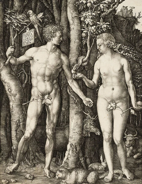 Adam and Eve, 1504 (engraving)
