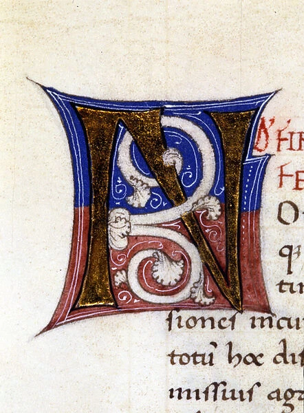 Alphabet: miniaturated letter N, 15th century manuscript
