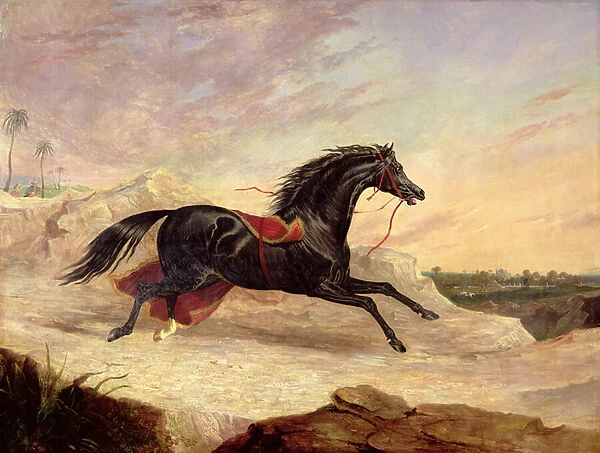 Arabs chasing a loose arab horse in an eastern landscape (oil on canvas)