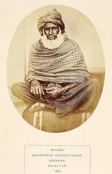 Beloch, Mahomedan Agriculturist, Googaira, Mooltan, from The People of India
