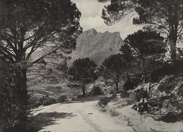 A Bend on the Kloof Road (b  /  w photo)
