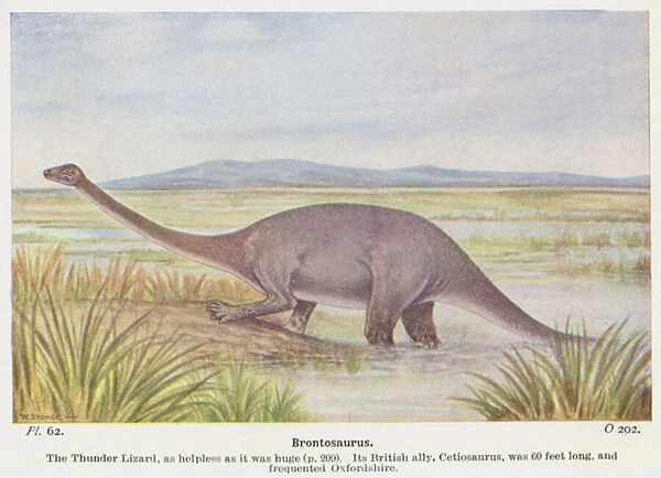 Brontosaurus (colour litho)