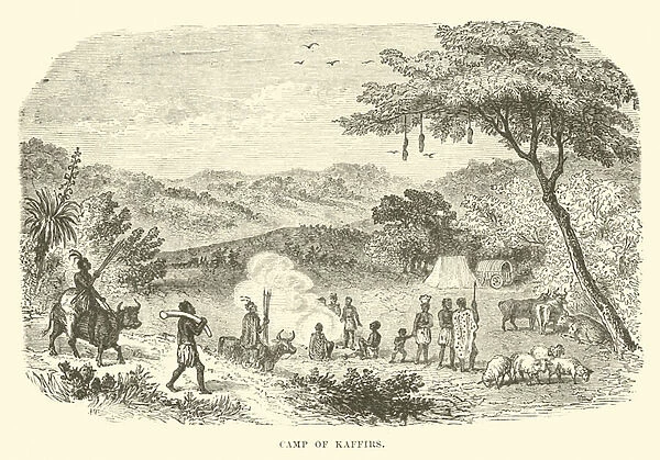 Camp of Kaffirs (engraving)