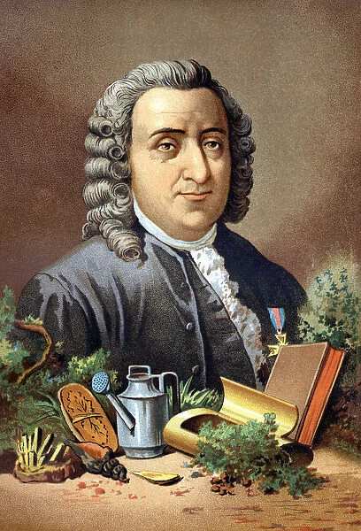 Carl Von Linne Swedish naturalist and writer (1707 - 1778) after '