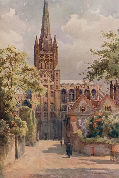 The Cathedral Precincts, Norwich (colour litho)