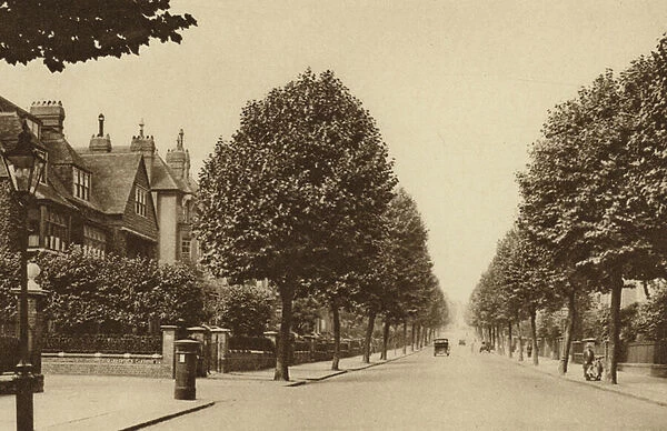 Fitzjohns Avenue, Hampstead (b  /  w photo)