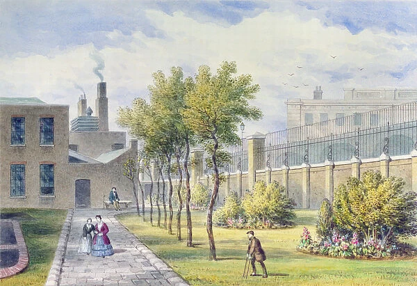 Garden of St. Thomass Hospital, Southwark, London (w  /  c on paper)