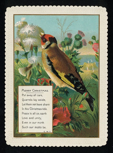 Goldfinch in the countryside, Christmas greetings card. (chromolitho)