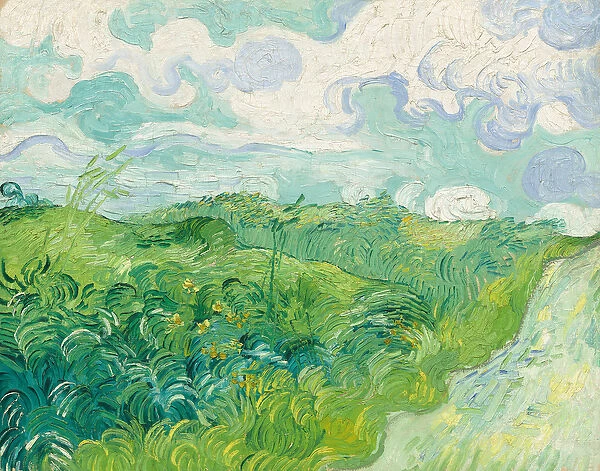 Green Wheat Fields, Auvers, 1890 (oil on canvas)