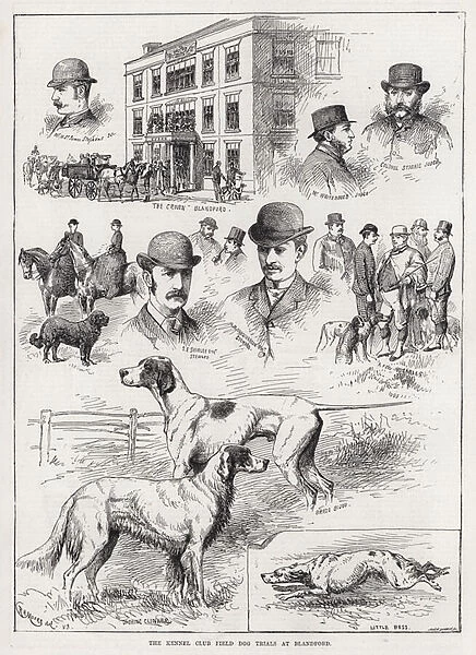 The Kennel Club Field Dog Trials at Blandford (engraving)