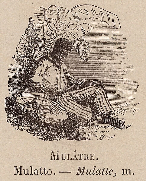 Le Vocabulaire Illustre: Mulatre; Mulatto; Mulatte (engraving)