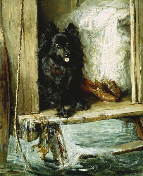 Left in Charge - A Black Pomerain on the Steps of a Bathing Machine, (oil on canvas)