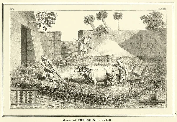 Manner of Threshing in the East (engraving)