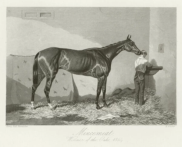 Mincemeat, foaled 1851 (b  /  w photo)