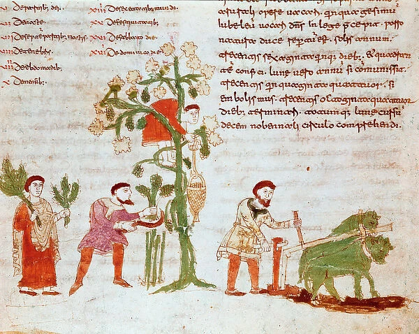 The four seasons: scene of plowing and picking grapes (harvest)