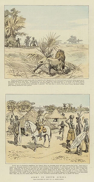 Sport in South Africa (chromolitho)
