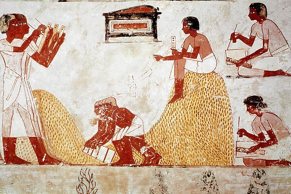 Tomb of Menna: Agricultural scene: collects grains supervised by a scribe who records