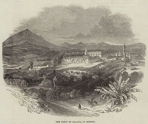 The Town of Jalapa, in Mexico (engraving)