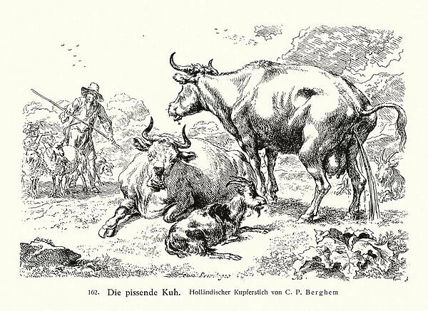 Urinating cow (copper engraving)