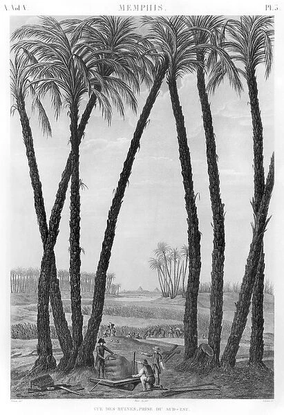 View of the ruins of Memphis seen from the south east, engraved by Jean Louis Delignon