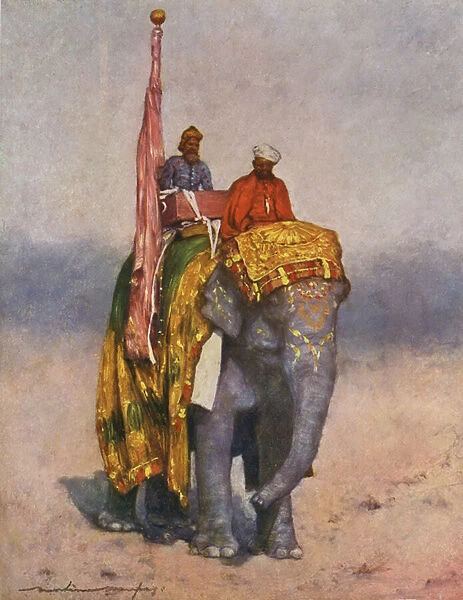 Wealthy man riding an elephant - India, early 20th century