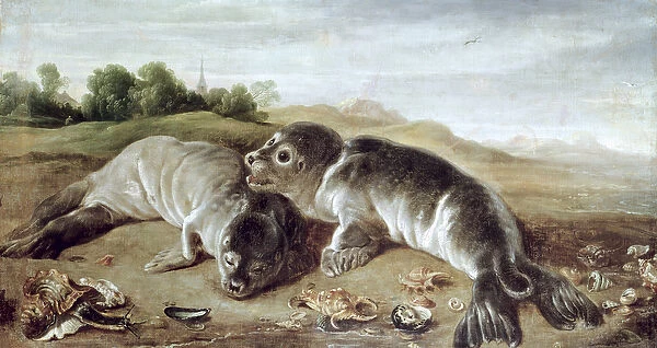 Two Young Seals on the Shore, c. 1650 (oil on canvas)