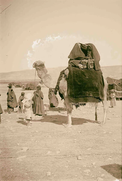 Bedouin wedding Brides maids 1898 nomadic Arab