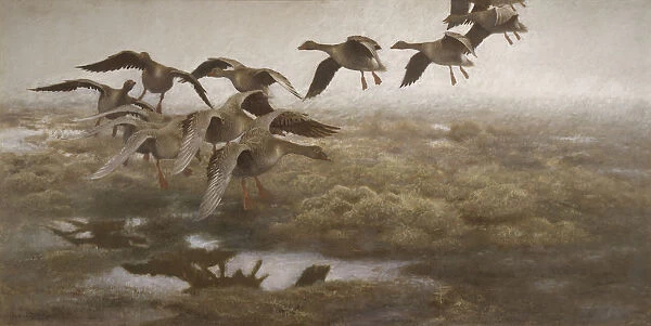 Bruno Liljefors Wildgeese Settling Trailing wild geese