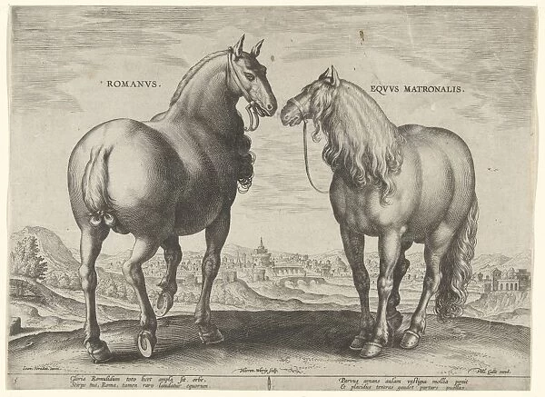 Horse from Rome and a mare, Hieronymus Wierix, Philips Galle, c. 1583 - c. 1587