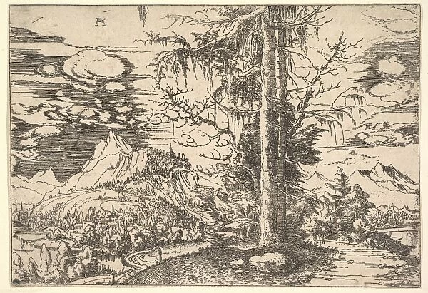 Landscape Double Spruce Foreground ca 1521-22