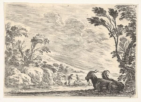 Plate 9 Two goats resting right turned towards