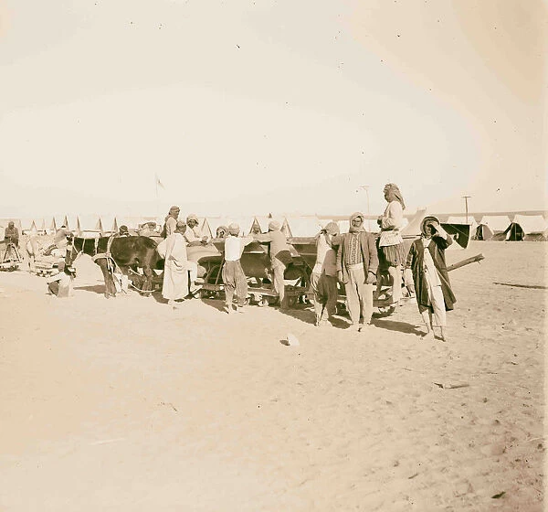 Setting up hospital tents Sinai 1917 Egypt