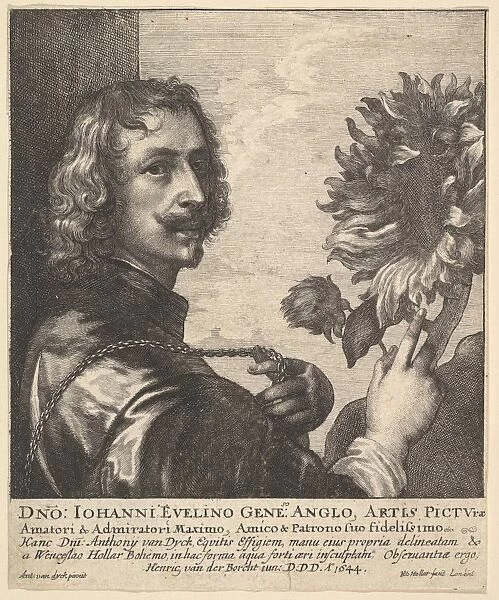 Sir Anthony van Dyck sunflower 1644 Etching third state
