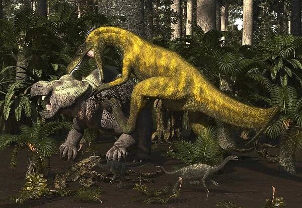 Herrerasaurus, an early dinosaur, attacks a dicynodont