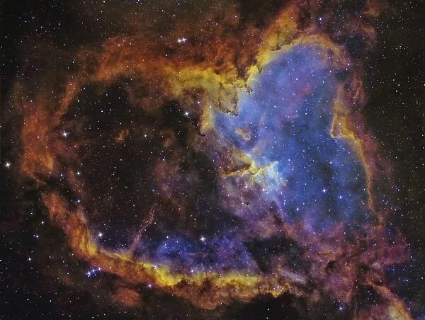 IC 1805, the Heart Nebula in the constellation Cassiopeia