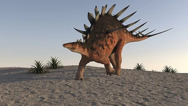 Kentrosaurus walking on sandy terrain