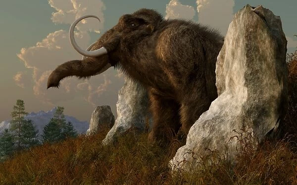 A mammoth standing among stones on a hillside
