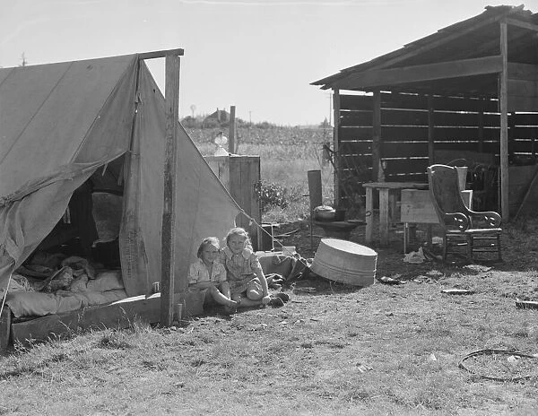 Bean pickers camp in growers yard - no running... near West Stayton, Marion County, Oregon, 1939. Creator: Dorothea Lange