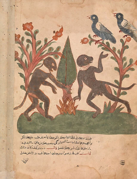 The Birds and the Monkeys with the Glow Worm, Folio from a Kalila wa Dimna, 18th century