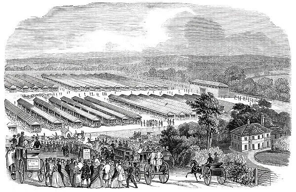 The Cattle Show, Portswood, 1844. Creator: Unknown